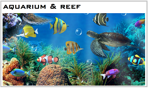 Aquarium RO